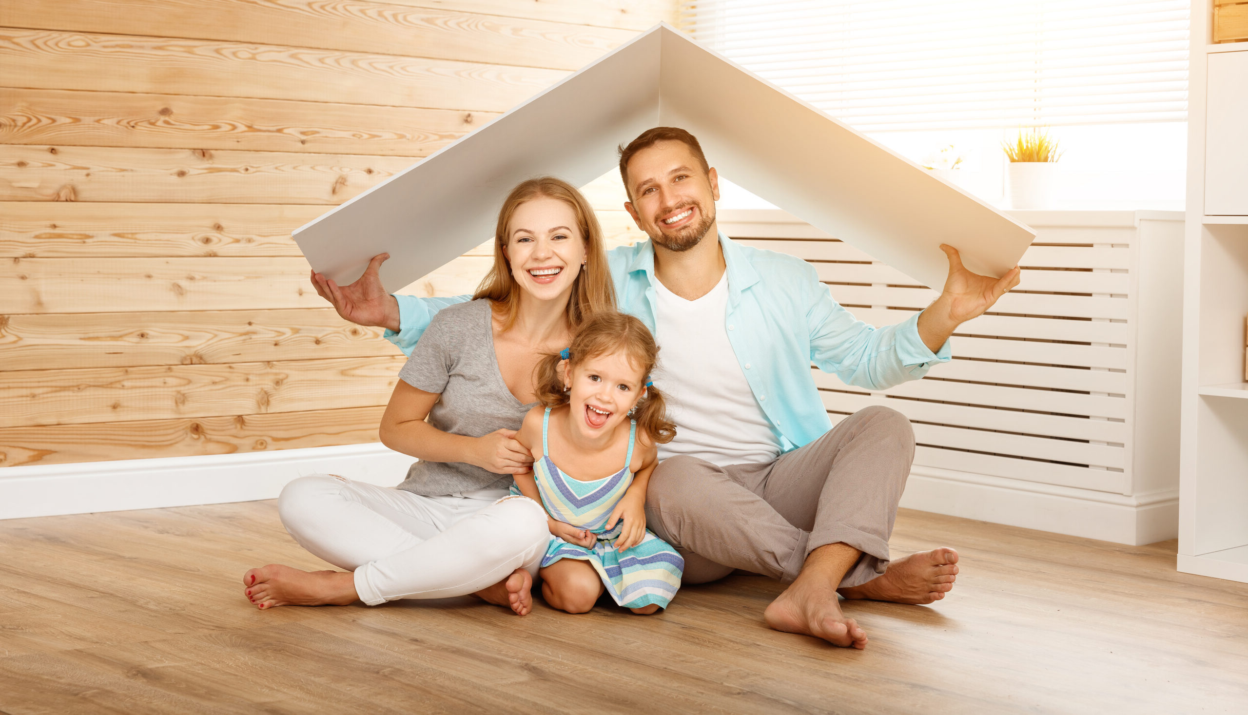 concept housing a young family